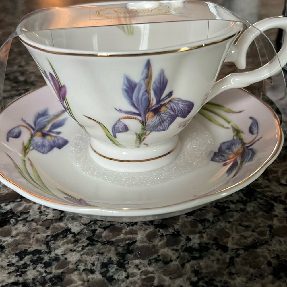 COASTLINE IMPORTS STECHCOL GRACIE CHINA TEA CUP AND SAUCER